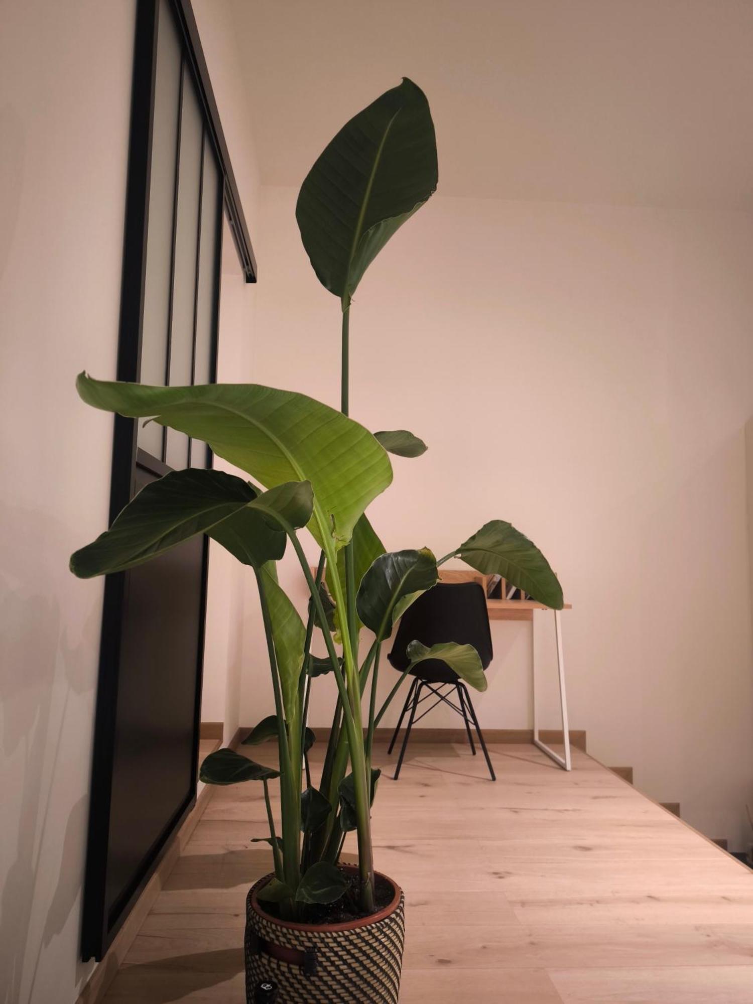 Apartament Le Castel Mosan Namur Zewnętrze zdjęcie