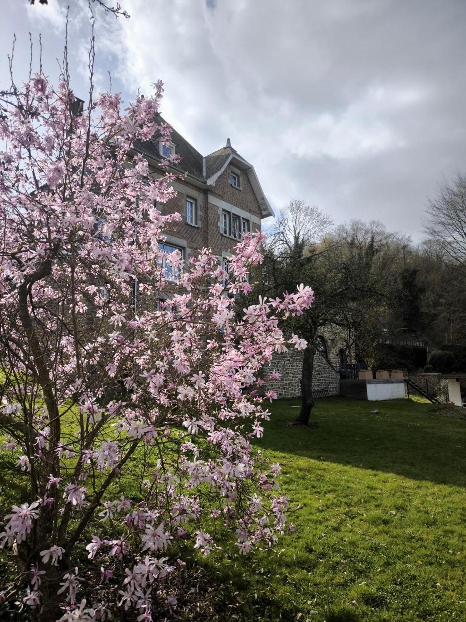 Apartament Le Castel Mosan Namur Zewnętrze zdjęcie